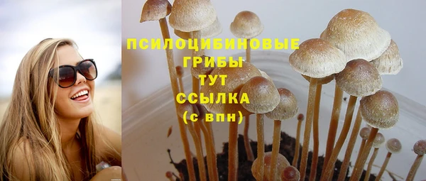 PSILOCYBIN Кулебаки