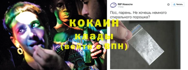 PSILOCYBIN Кулебаки