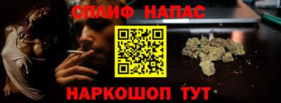jwh Кингисепп