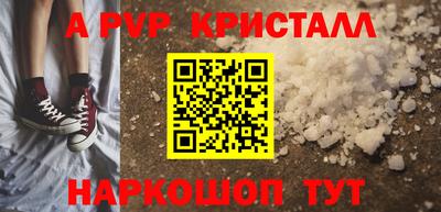 jwh Кингисепп