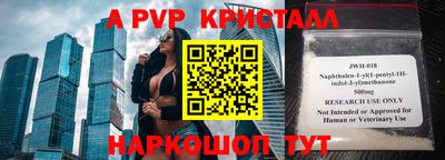 jwh Кингисепп