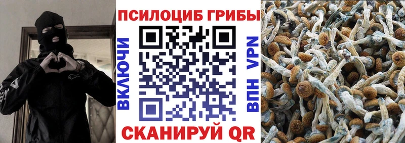 блэк спрут ссылки  Курчатов  Галлюциногенные грибы Magic Shrooms 