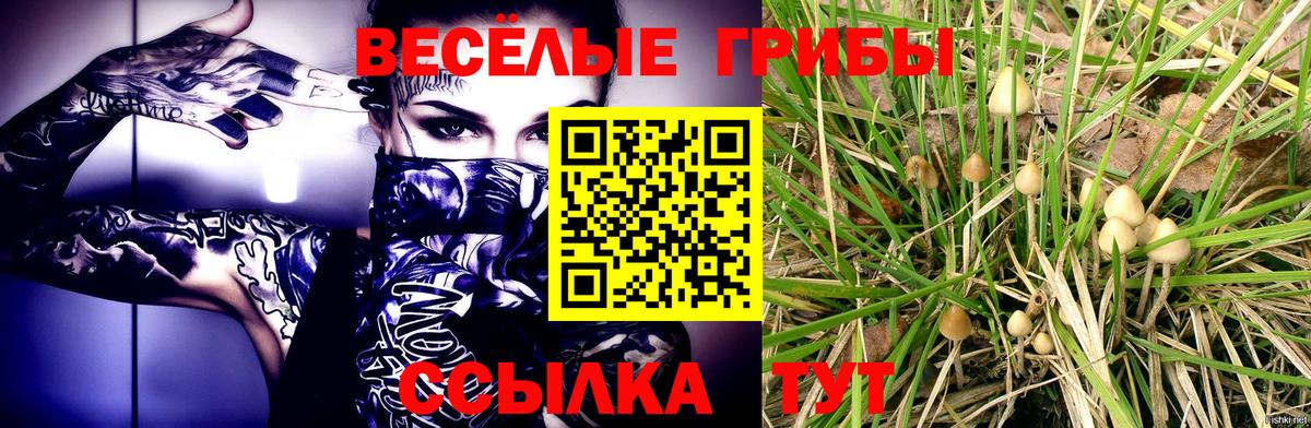 Курчатов  Галлюциногенные грибы прущие грибы  Галлюциногенные грибы ЛСД  Вход с VPN 