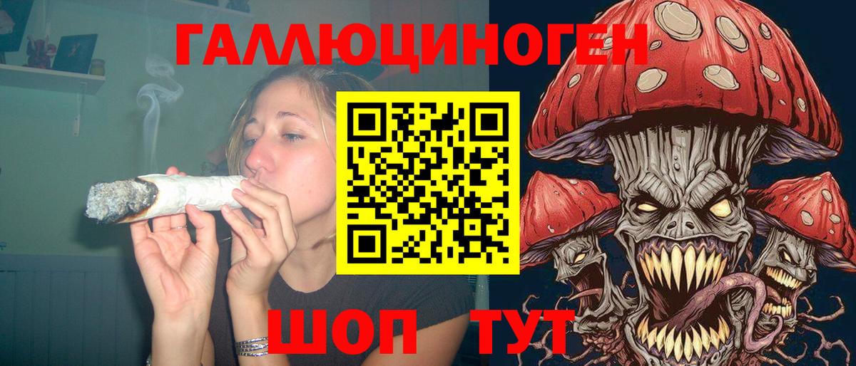 Галлюциногенные грибы MAGIC MUSHROOMS Курчатов