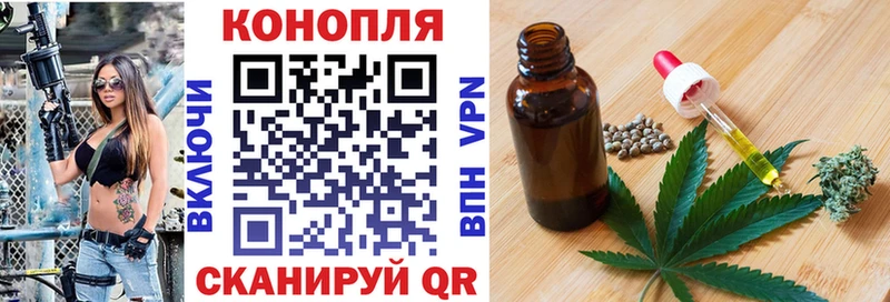Каннабис сатива Курчатов